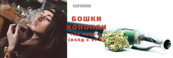 СК Михайловск