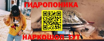 крисы Апшеронск