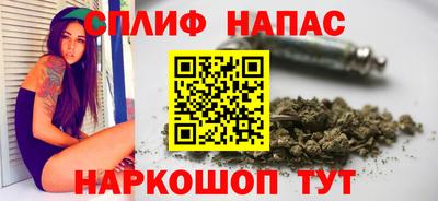 прущие грибы Аргун