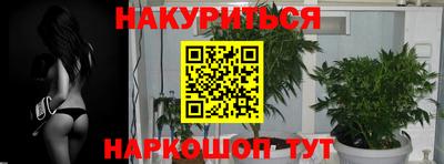 крисы Апшеронск