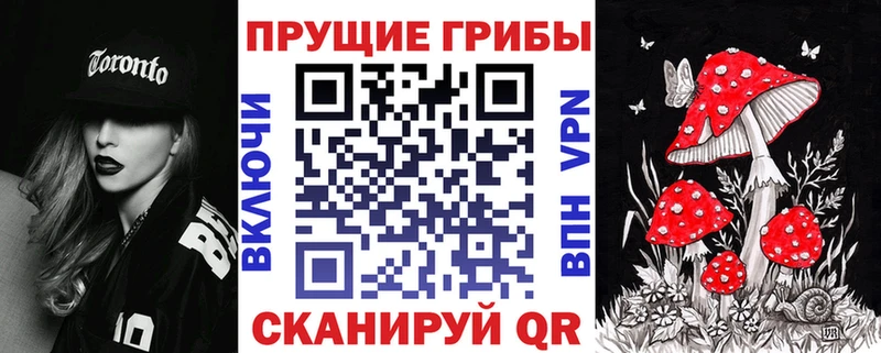 Галлюциногенные грибы Psilocybe  дарк нет клад  Архангельск  купить  