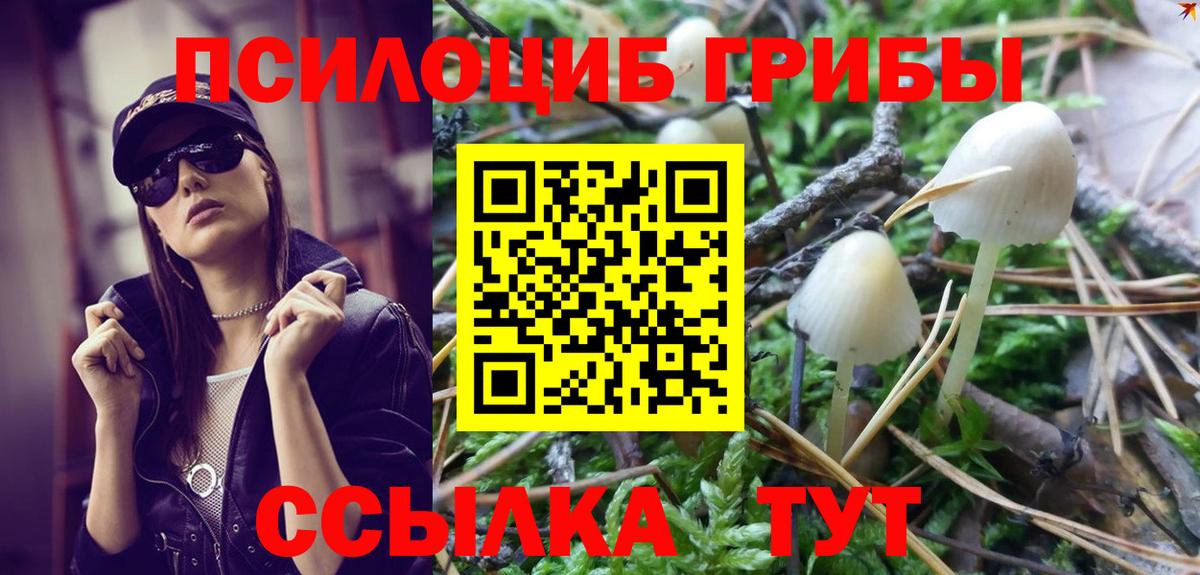 Архангельск  где купить наркотик  Вход с VPN  Псилоцибиновые грибы ЛСД 