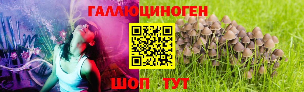 Галлюциногенные грибы прущие грибы Архангельск